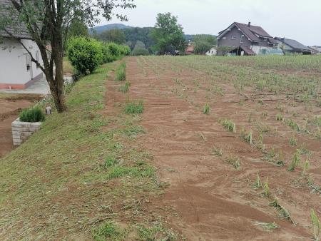 Blato in uničen pridelek